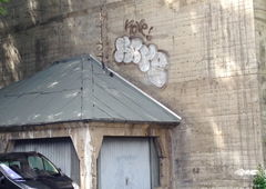 Photo #87101 by deinemudda