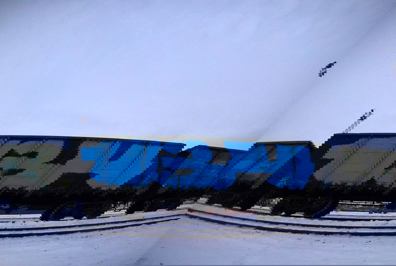 Graffiti Train - Photo by Kolyanes - 134, fr8 (2013)