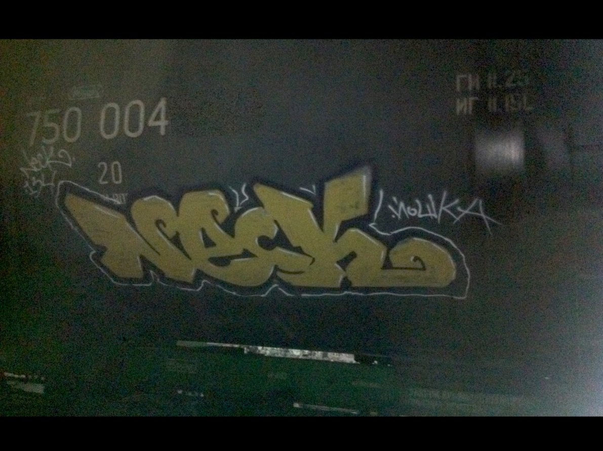 Graffiti Train - Photo by Kolyanes - neck, fr8, 134 (2015)