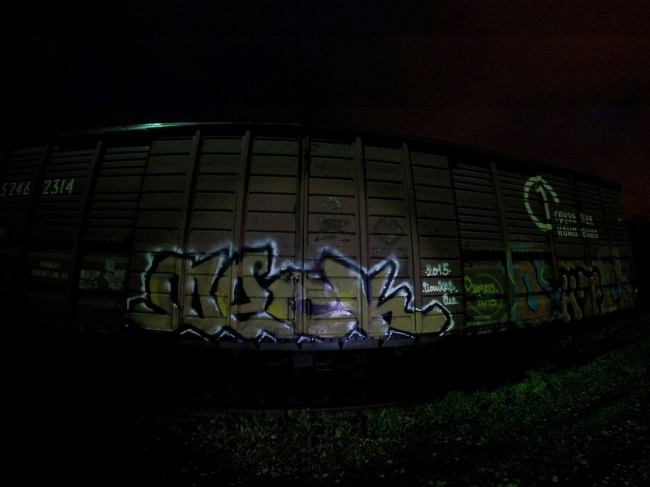 Graffiti Train - Photo by Kolyanes - neck, fr8 (2015)