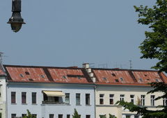 Photo #59340 by MENO