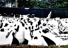 Photo #69716 by Grafilzer