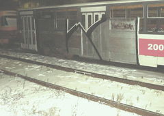 Photo #96405 by Vred