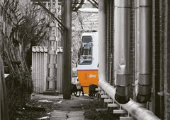 Photo #219958 by Belt