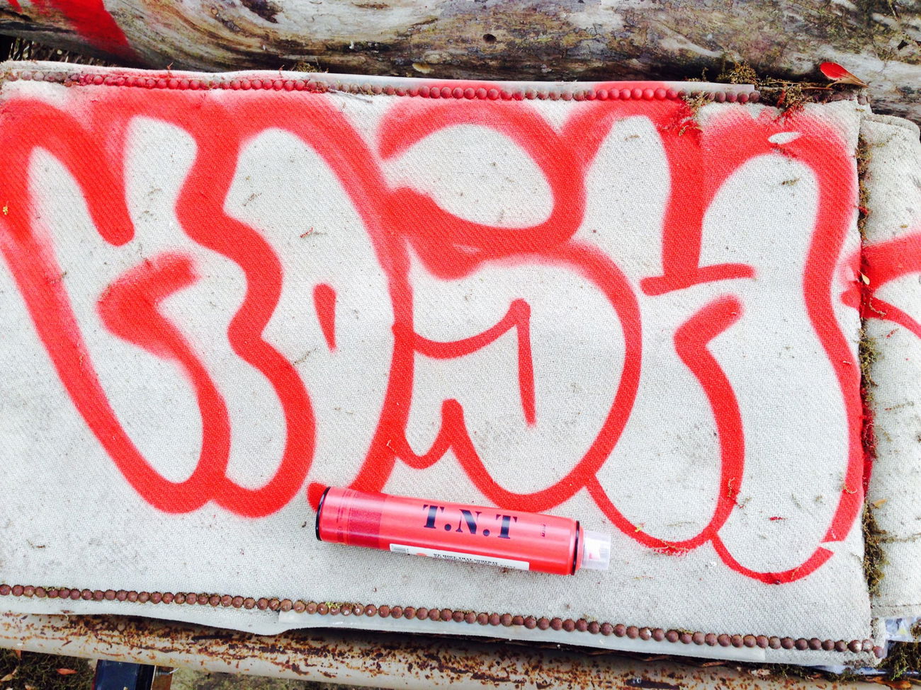 Graffiti Bombing - Photo by Kosh101 - TNT (2014)