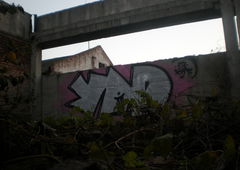 Photo #44509 by sunsnv