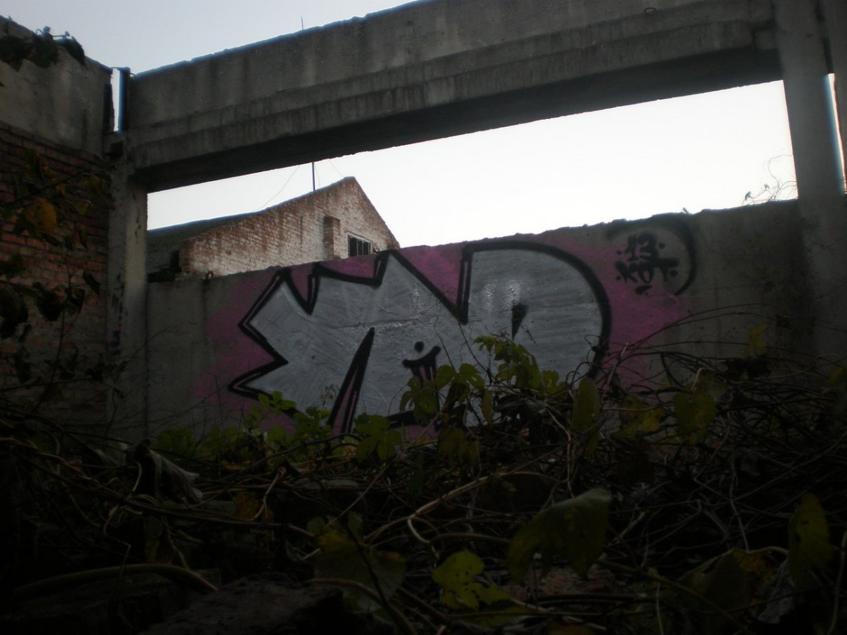 Graffiti Wall - Photo by Kot