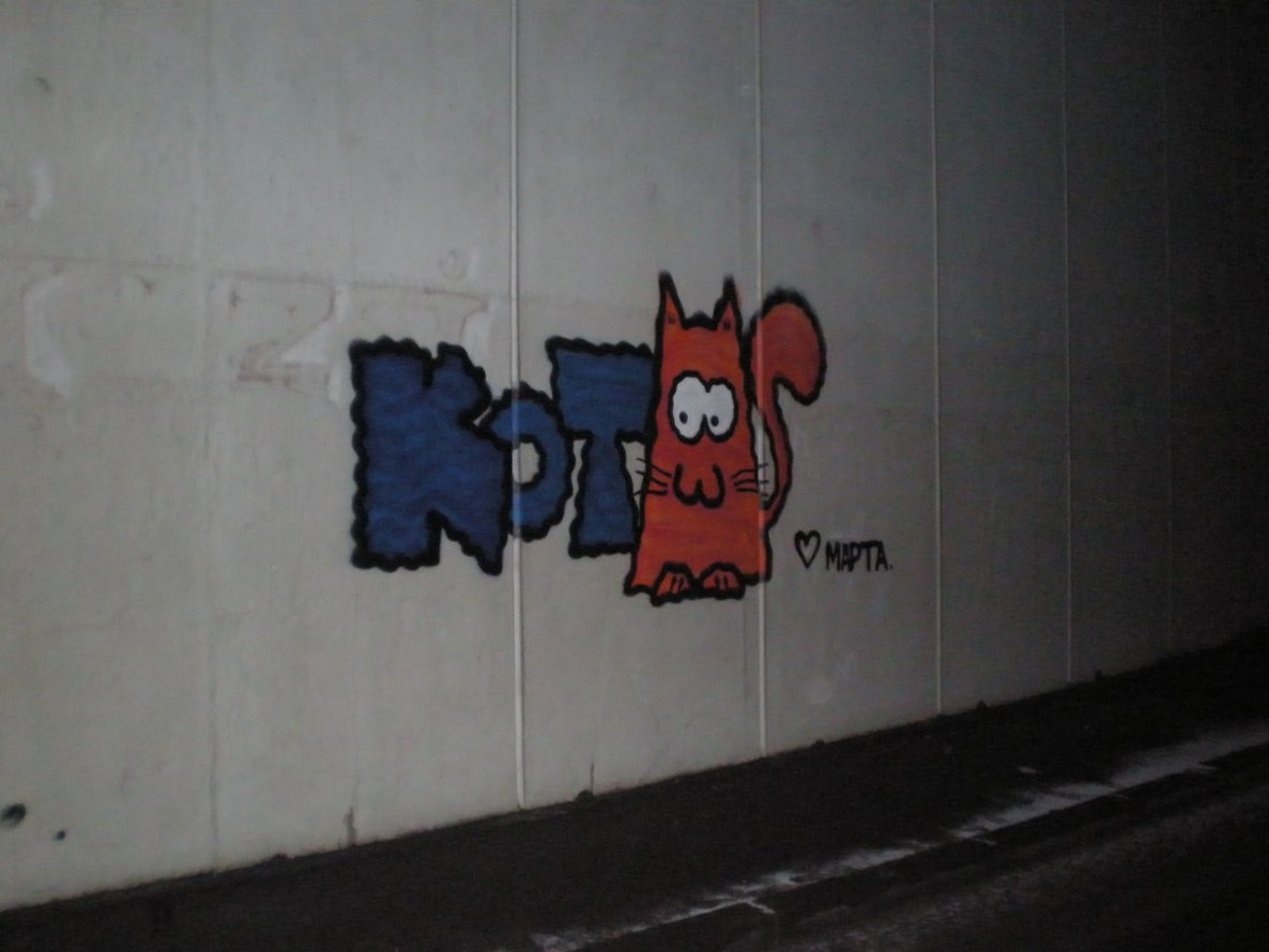 Graffiti Bombing - Photo by Kot