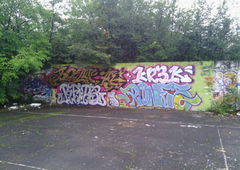 Photo #124516 by koal