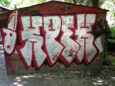 Graffiti Bombing - Photo by Kreque