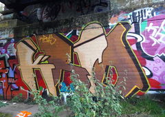 Photo #213735 by MOCHA