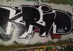 Photo #171142 by DOVE1