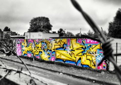 Photo #45147 by User28