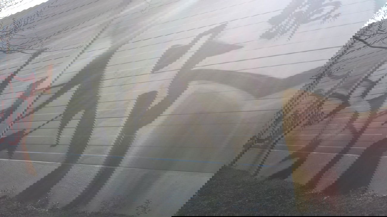 Graffiti Bombing - Photo by Kriso