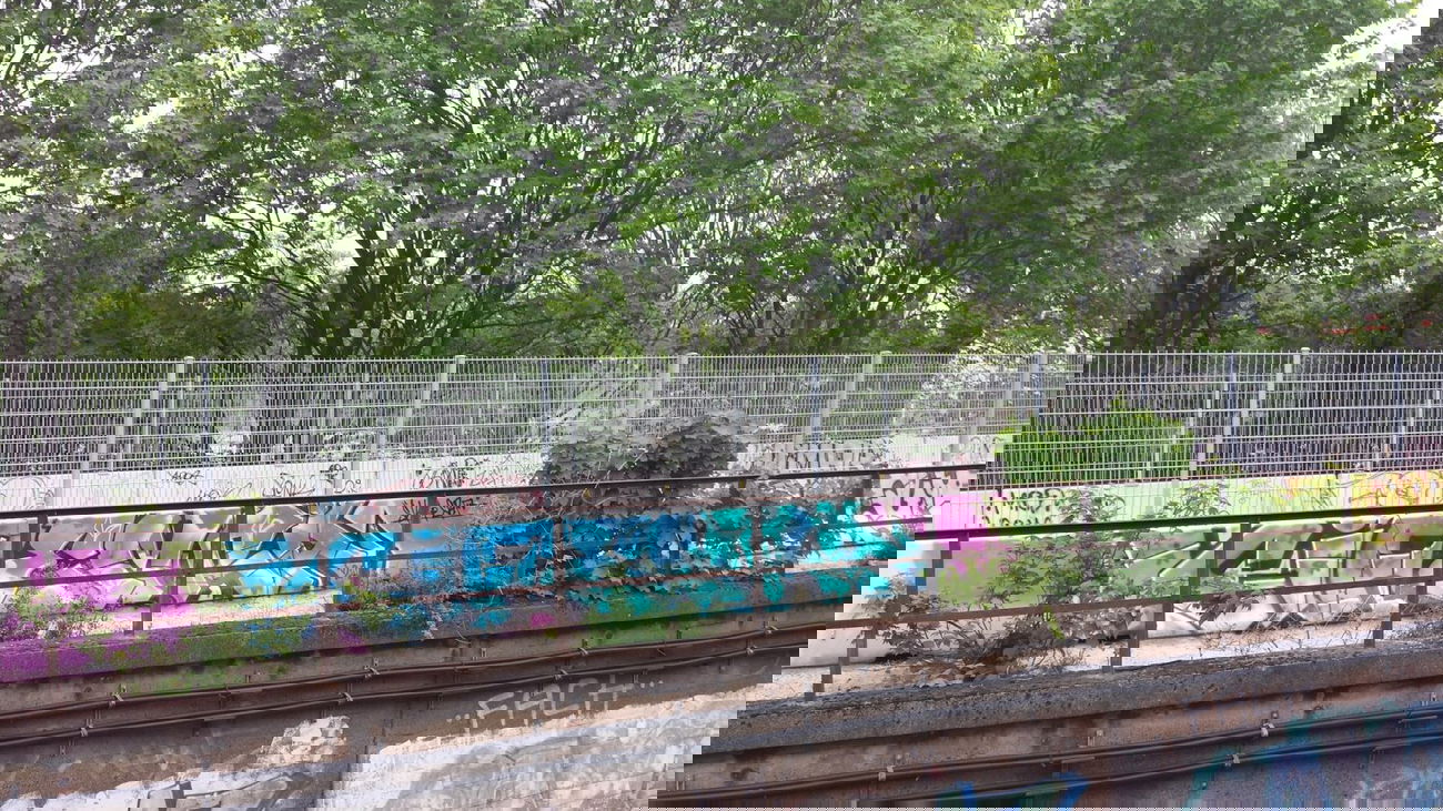 Graffiti Bombing - Photo by Kriso - kif, emra