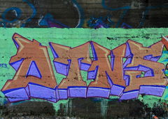 Photo #7156 by TagHagel