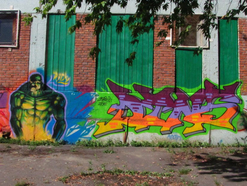 Graffiti Wall - Photo by Krizis_Dtns - DTNS (2013)