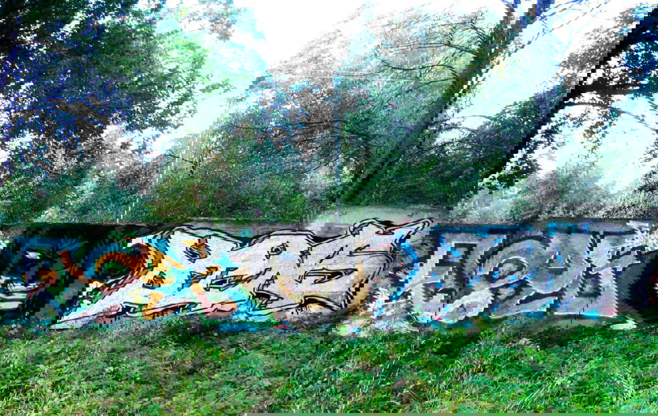 Graffiti Wall - Photo by Krizis_Dtns - Dtns (2013)