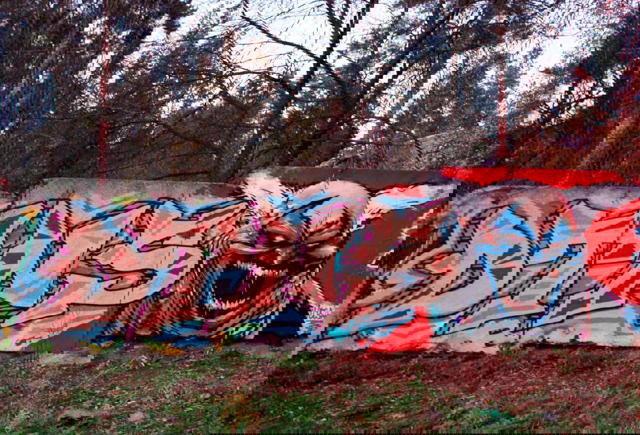Graffiti Wall - Photo by Krizis_Dtns - DTNS (2013)