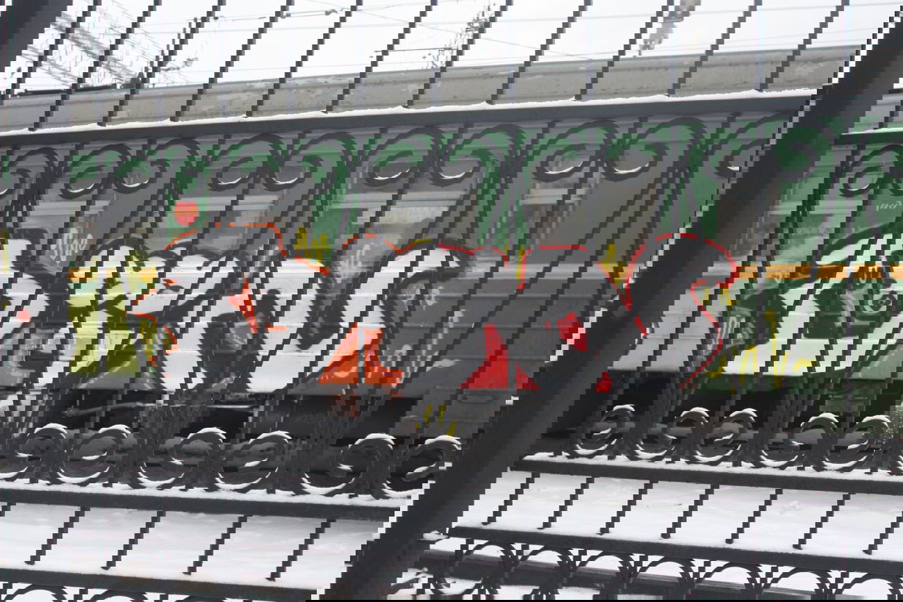 Graffiti Train - Photo by Krizis_Dtns - DTNS (2012)