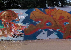 Photo #24027 by polies1