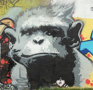 Graffiti Wall in Starogard Gda?ski - Photo by Ktos83 (2012)