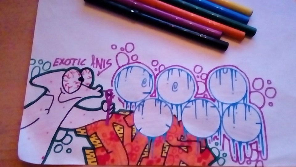 Graffiti Wall in 34128 - Photo by Kunited - exotic, nisi, ups (2017)