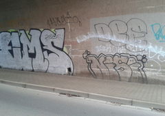 Photo #211162 by tostkopf