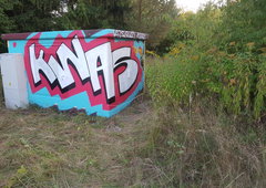 Photo #224275 by kwiatXwhoyou