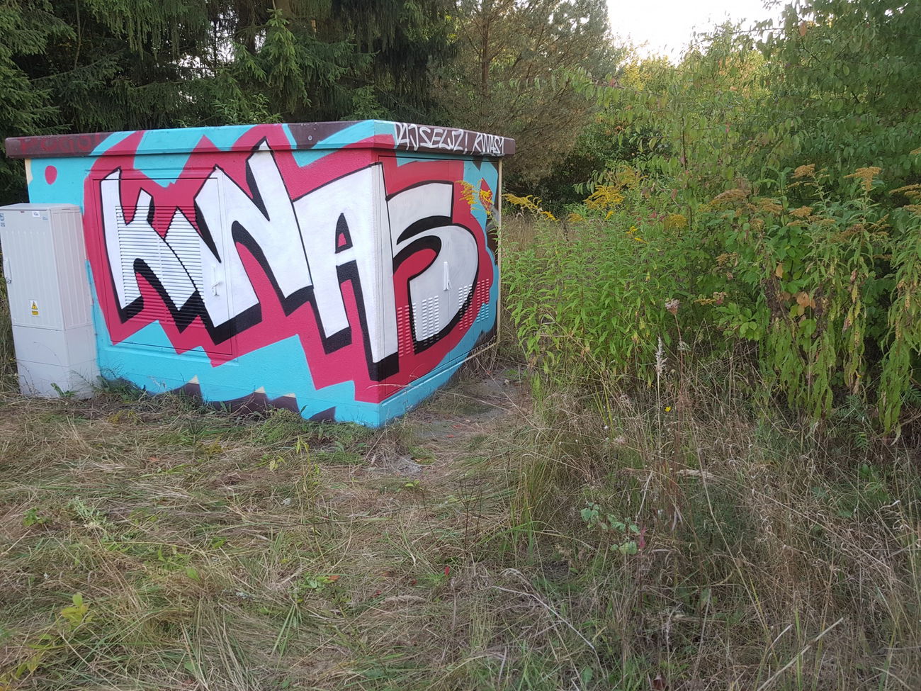 Graffiti Wall - Photo by KwasDSL - kwas, dsl (2018)
