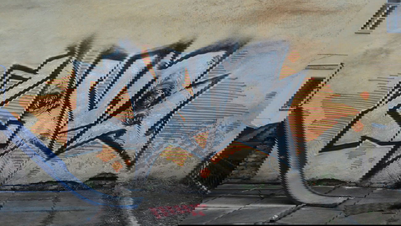 Graffiti Wall - Photo by LAVEGANG