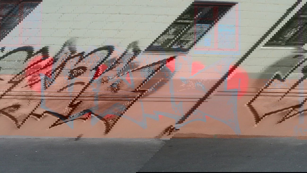 Graffiti Bombing - Photo by LAVEGANG