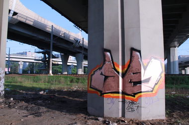 Graffiti Bombing - Photo by LAVEGANG