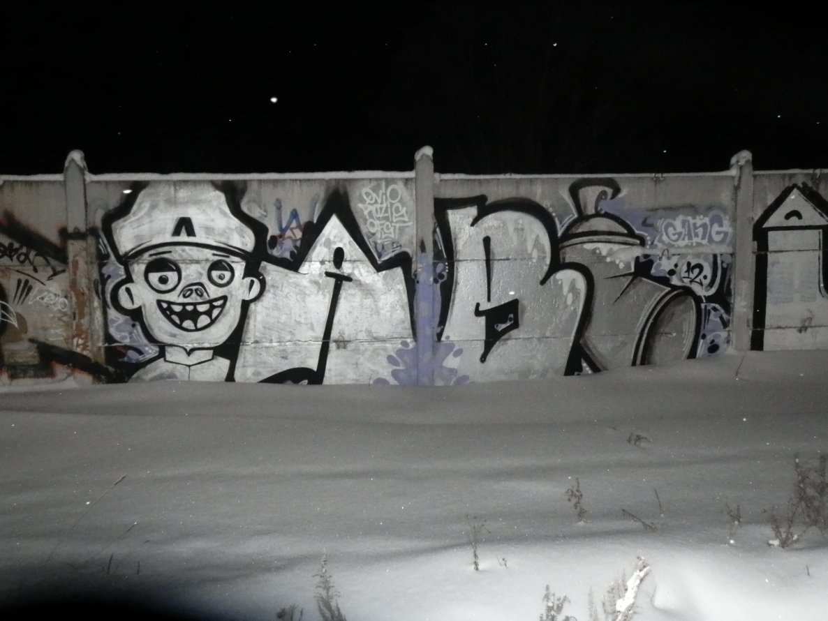 Graffiti Bombing - Photo by LAVEGANG