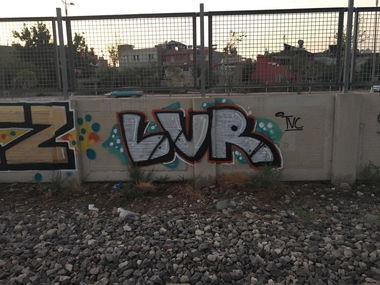 Graffiti Bombing - Photo by LAVUR - TrainLine, Turkey, Adana