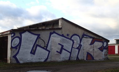 Graffiti Bombing - Photo by LEiK - silver (2014)