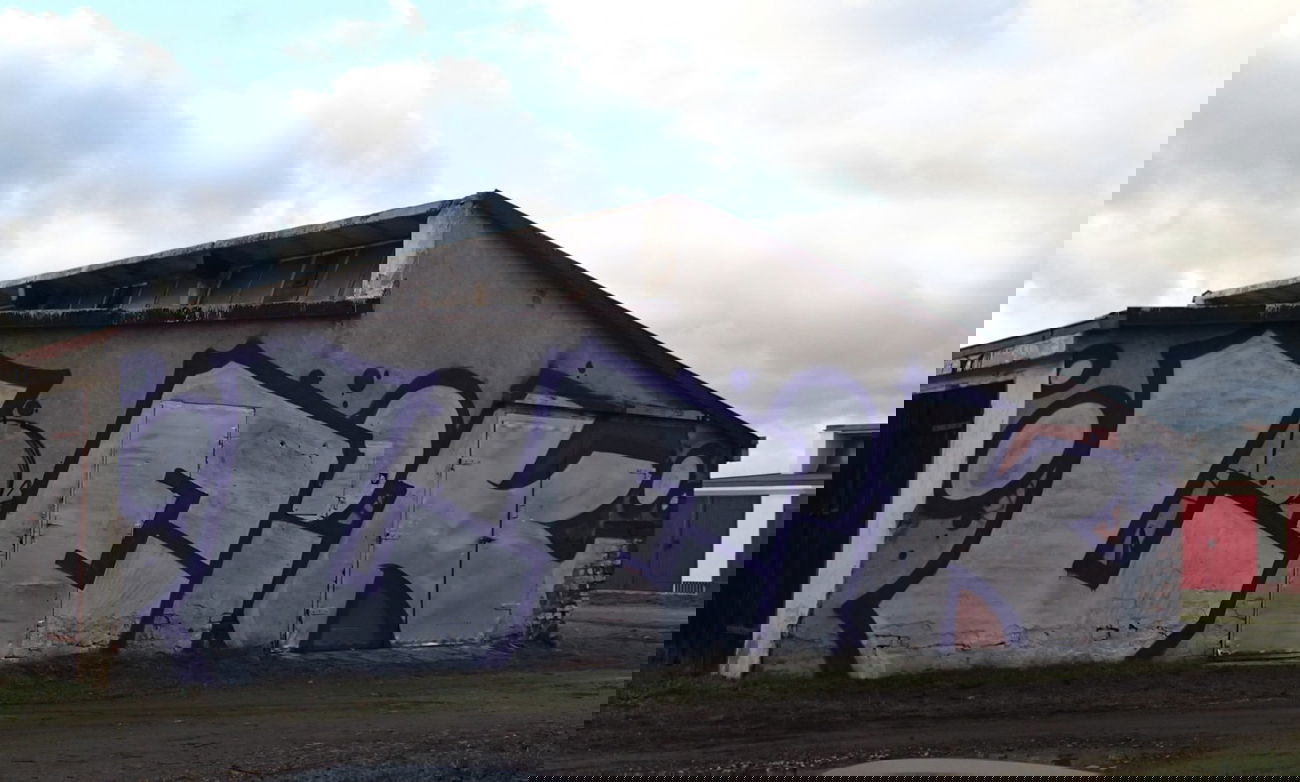 Graffiti Bombing - Photo by LEiK - silver (2014)