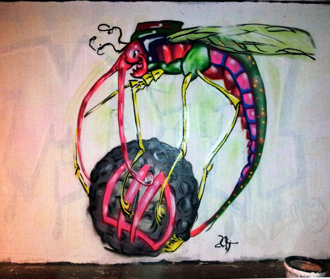 Graffiti Wall - Photo by LIA - LIA (2014)