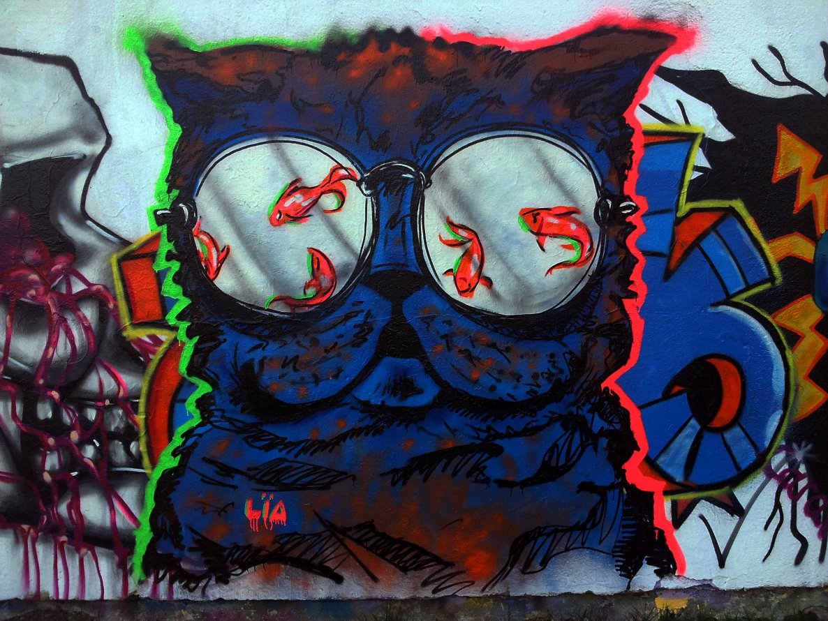 Graffiti Wall - Photo by LIA