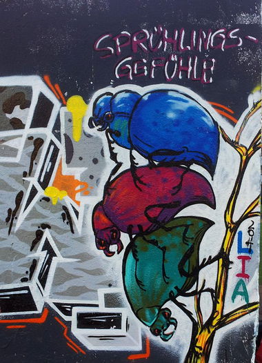 Graffiti Wall in Linz - Photo by LIA (2014)