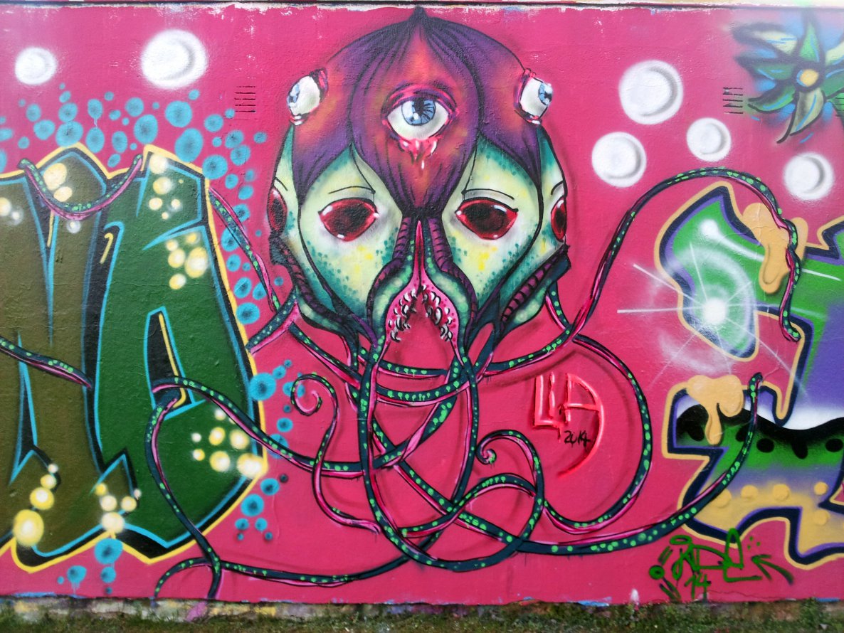 Graffiti Wall - Photo by LIA (2014)