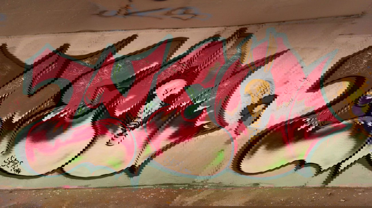 Graffiti Wall in Linz - Photo by LIA - Lyea (2014)