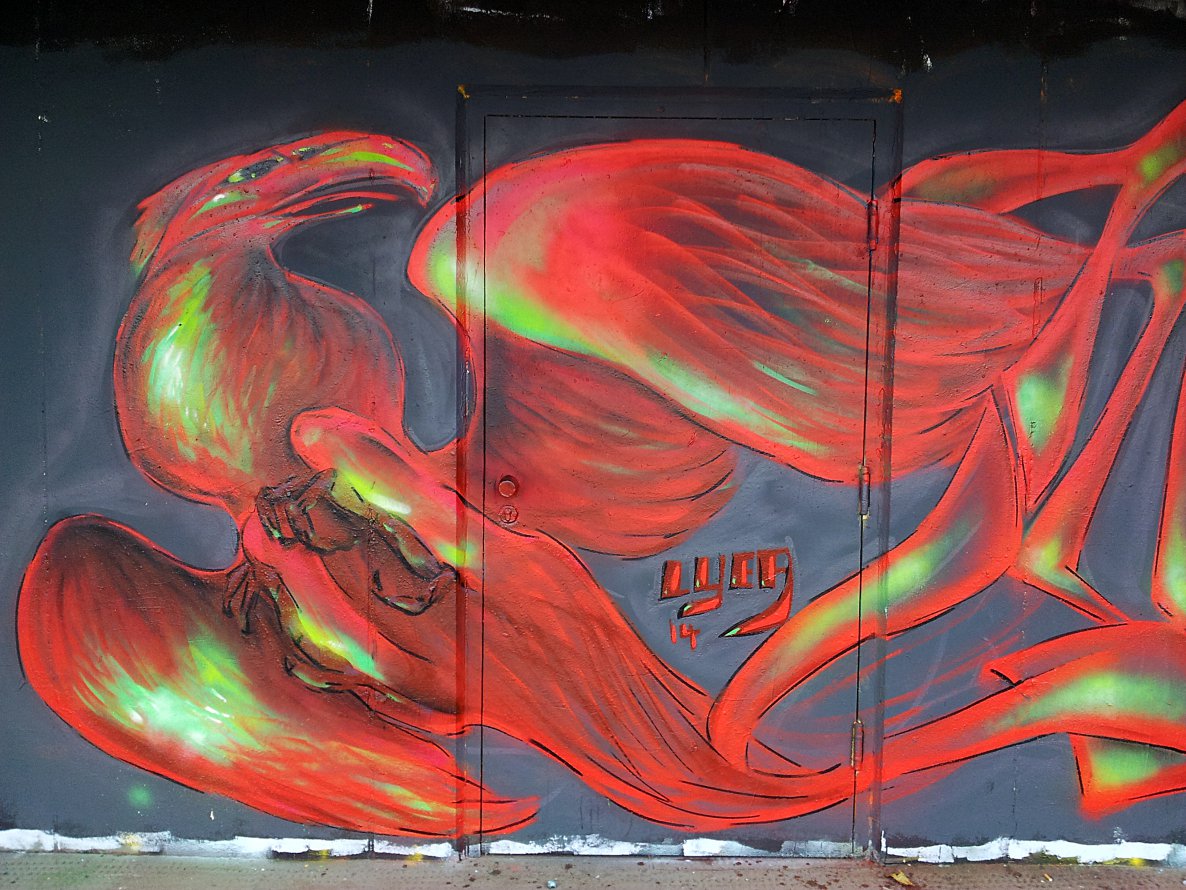 Graffiti Wall - Photo by LIA - lyea, vienna (2014)