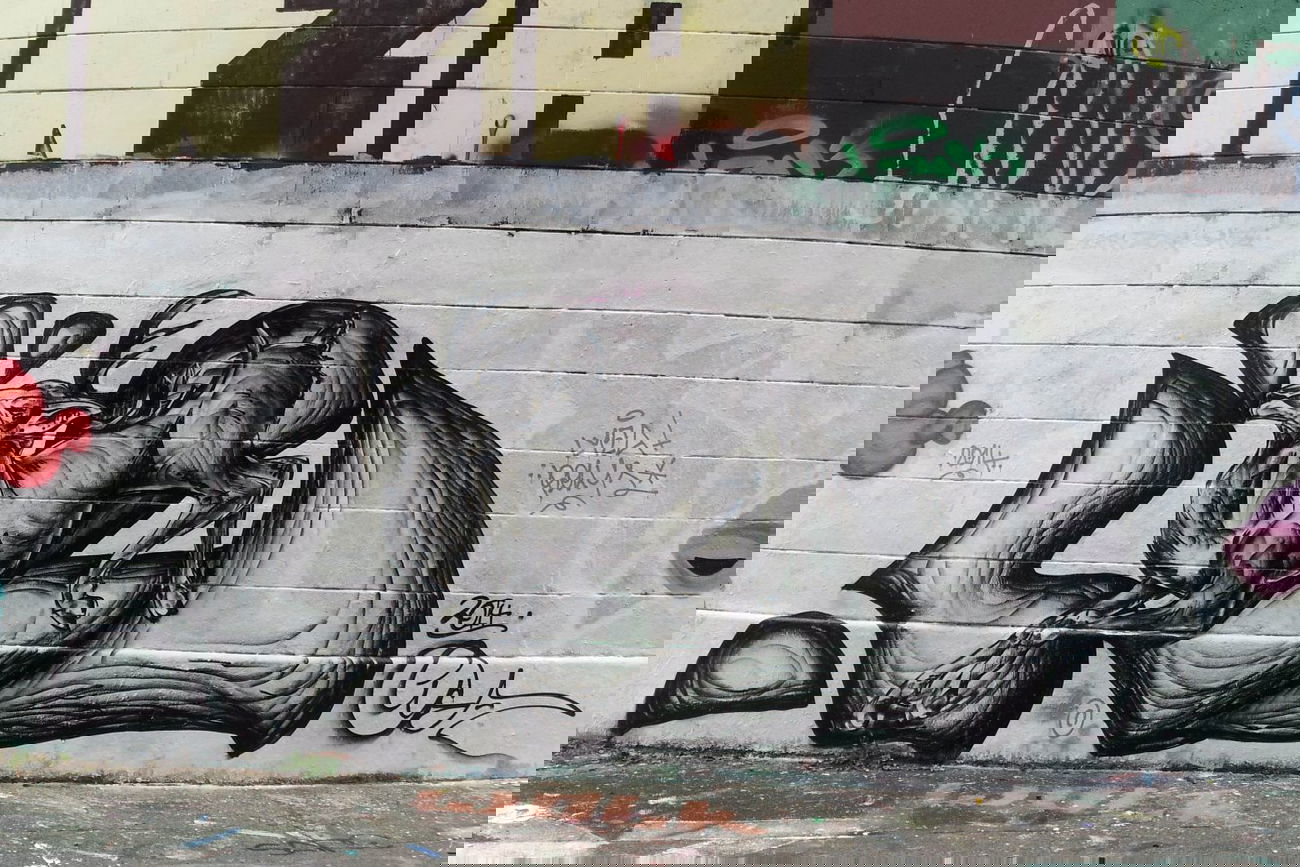 Graffiti Wall in Vienna - Photo by LIA - lyea (2014)