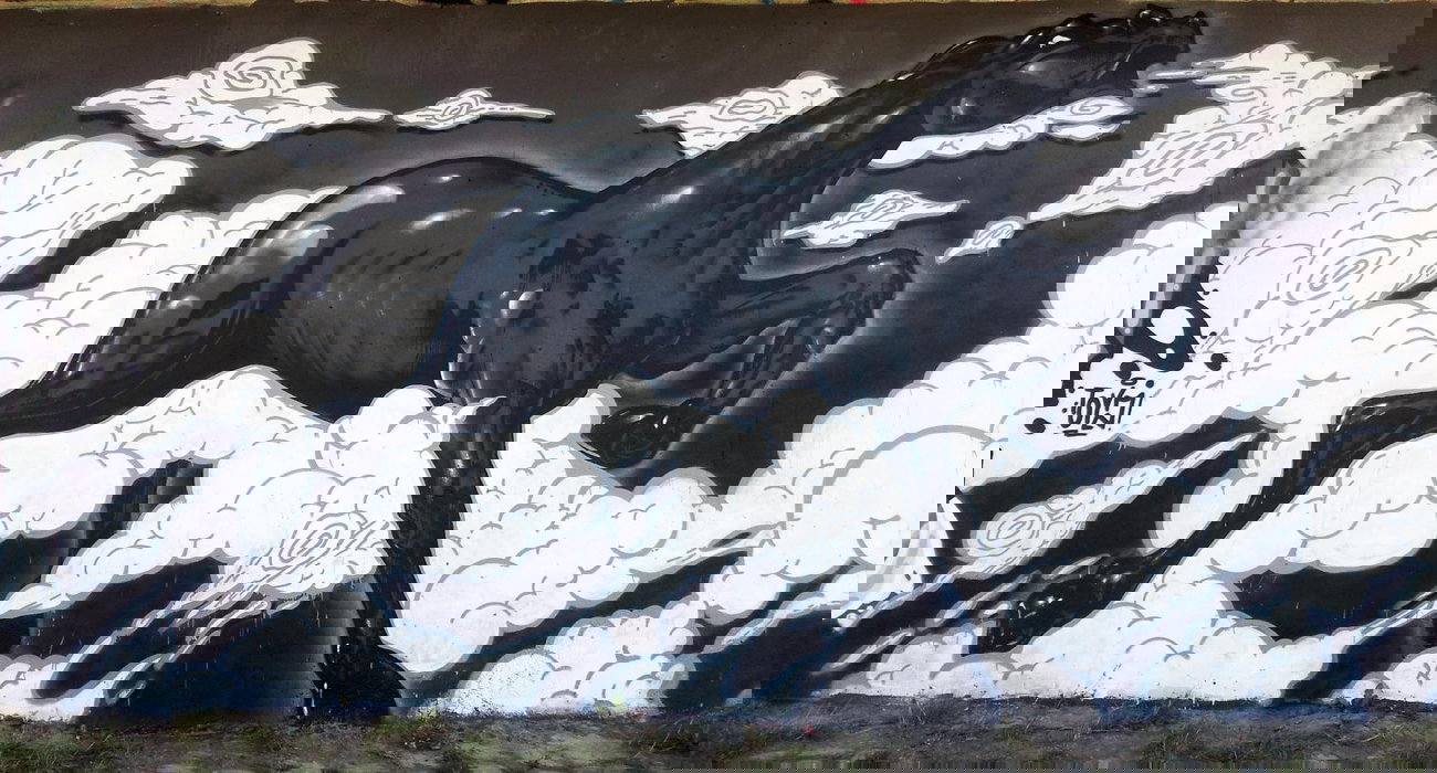 Graffiti Wall in Linz - Photo by LIA - lyea (2014)