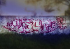 Photo #177230 by TagHagel