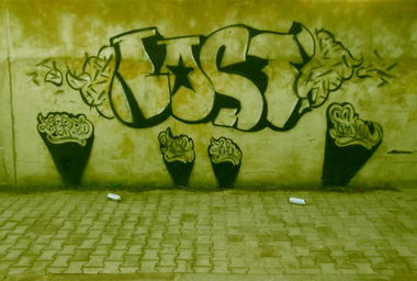 Graffiti Bombing - Photo by LOST - LOST, GRAFFITI, SAIDANI (2014)