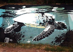 Photo #129335 by Des2