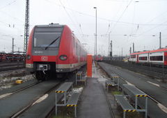 Photo #154663 by gartenzwerg