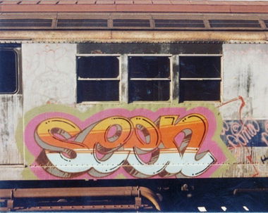 Graffiti Train - Photo by Labrat143